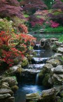 Lower Pond